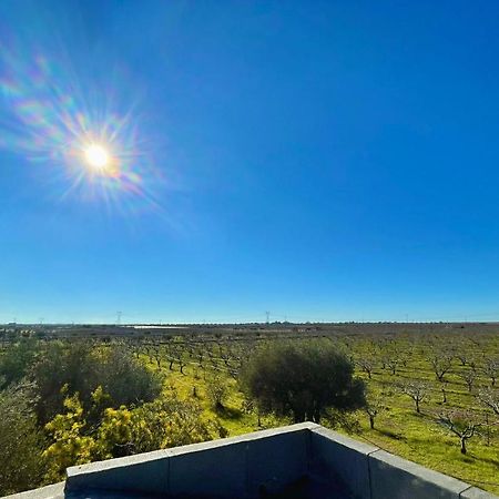 Masseria Elefante Turi Dış mekan fotoğraf
