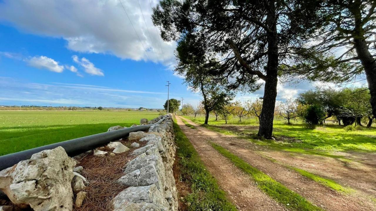 Masseria Elefante Turi Dış mekan fotoğraf