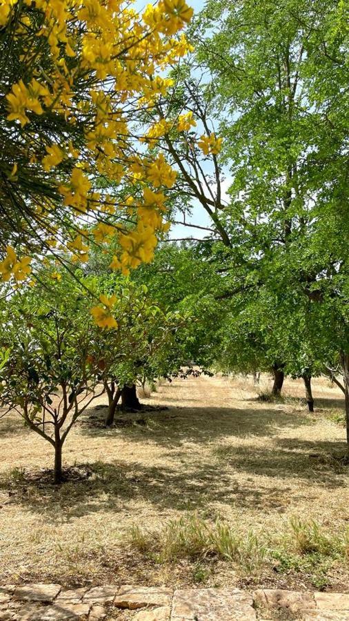 Masseria Elefante Turi Dış mekan fotoğraf