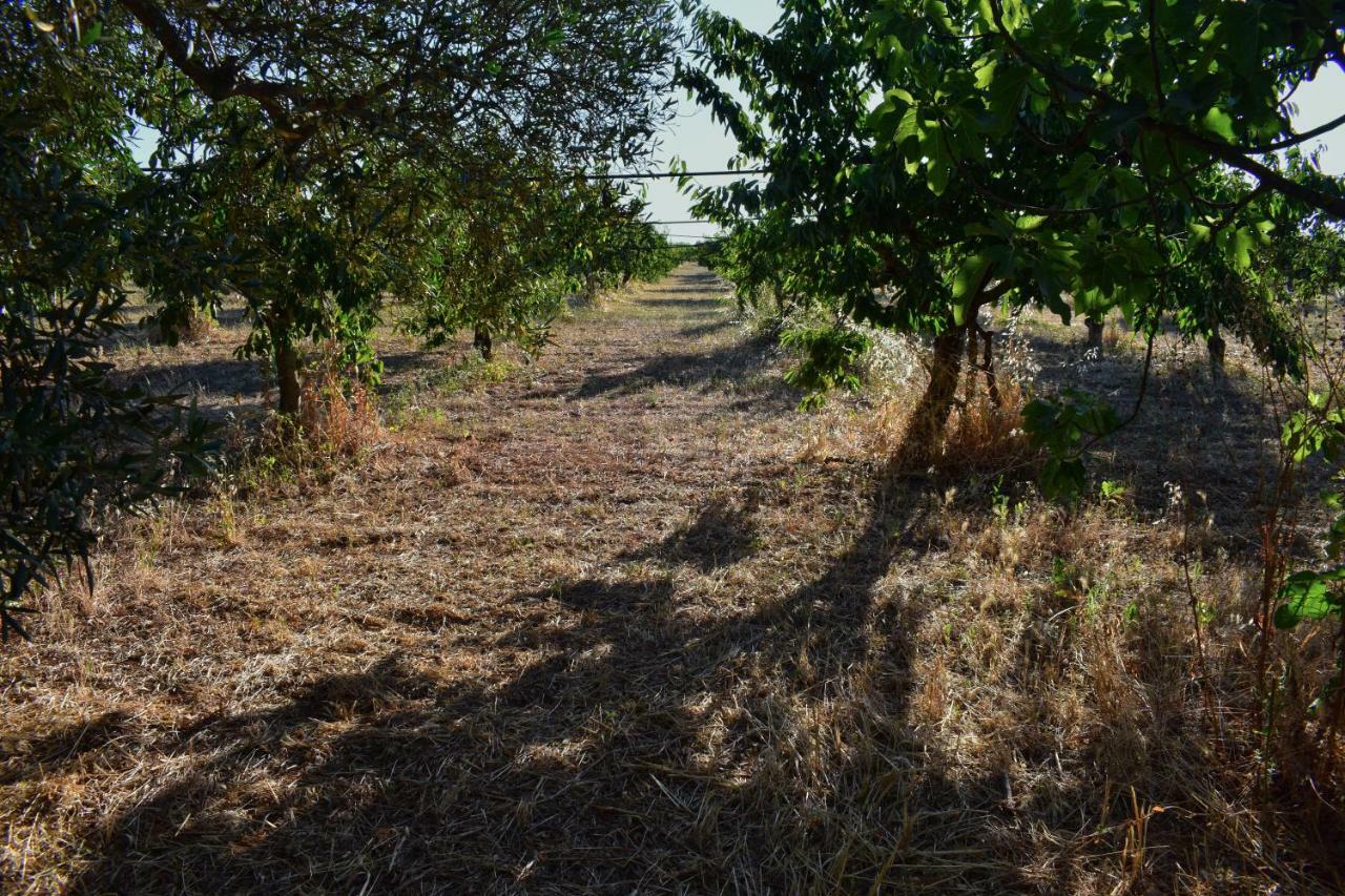 Masseria Elefante Turi Dış mekan fotoğraf